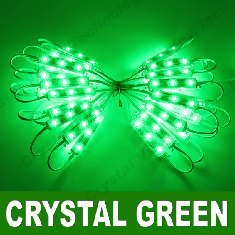 Crystal Vision Storefront LED Window Kit – 50ft Green - Image 5